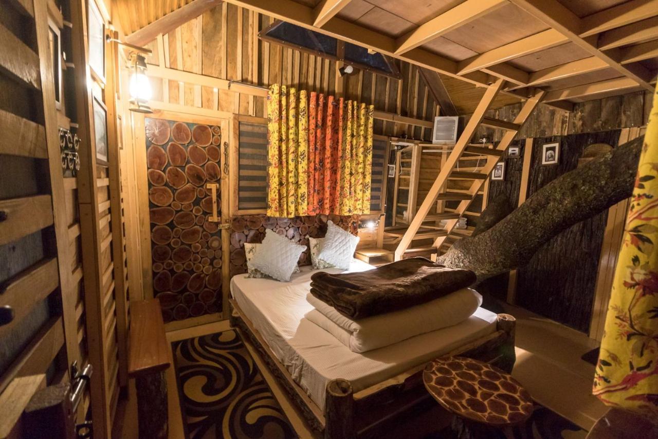 Tiger Fall Eco Resort Chakrata Exterior photo